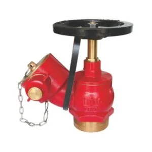 Fire Hydrant Landing Valve